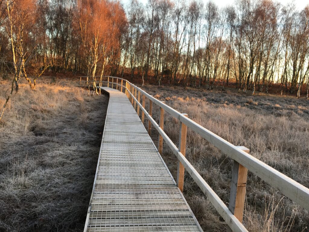 Strensall 2