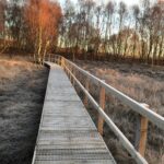 Strensall 2