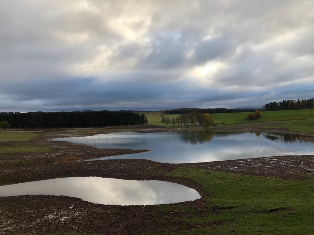 Pond Creation