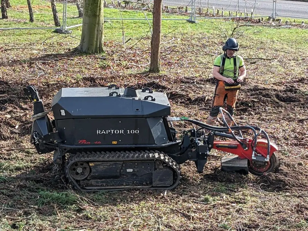 LFG-Arboriculture-&-Tree-Management-Stump-Removal-&-Grinding-001