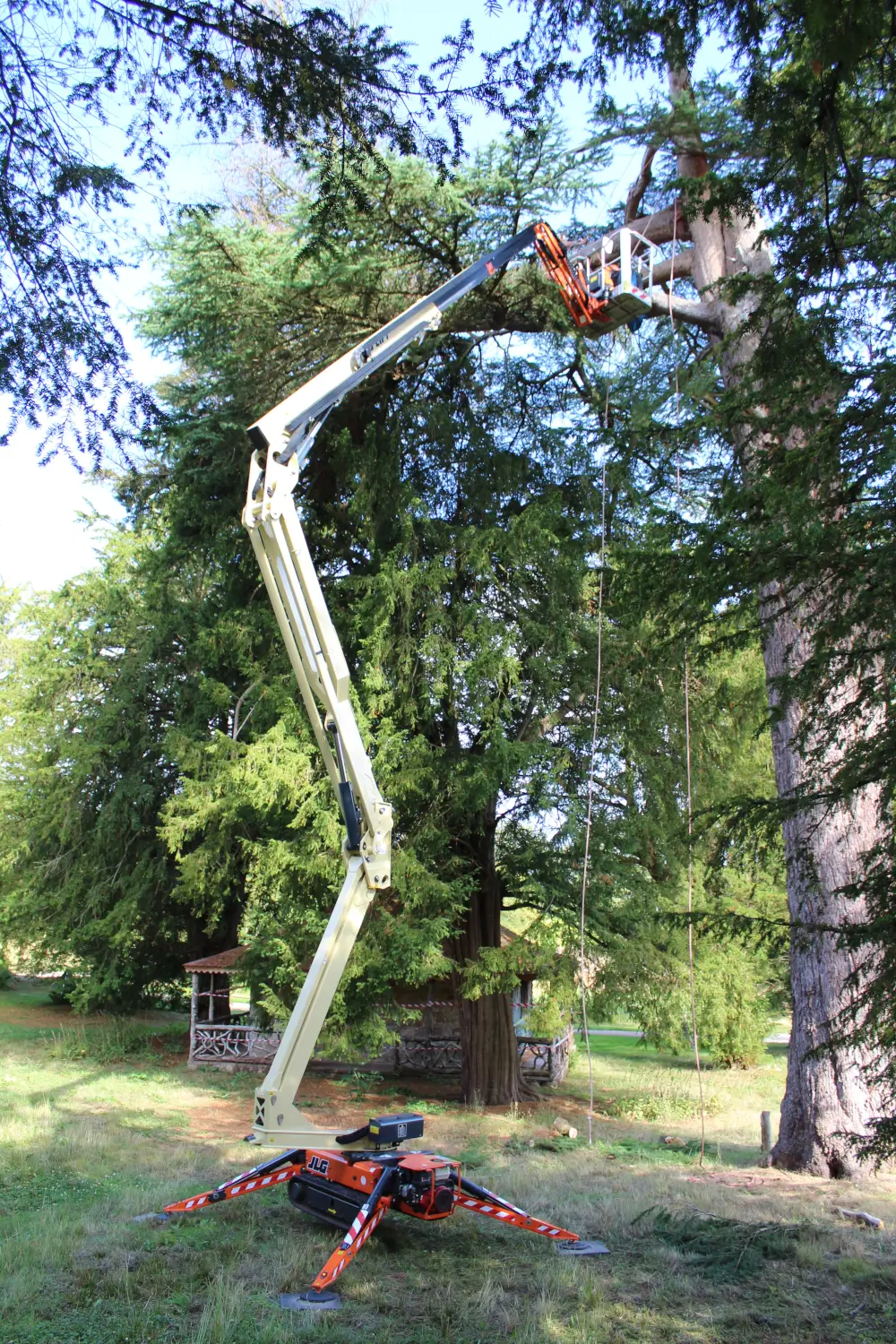 LFG-Arboriculture-&-Tree-Management-Tree-Surgery-004