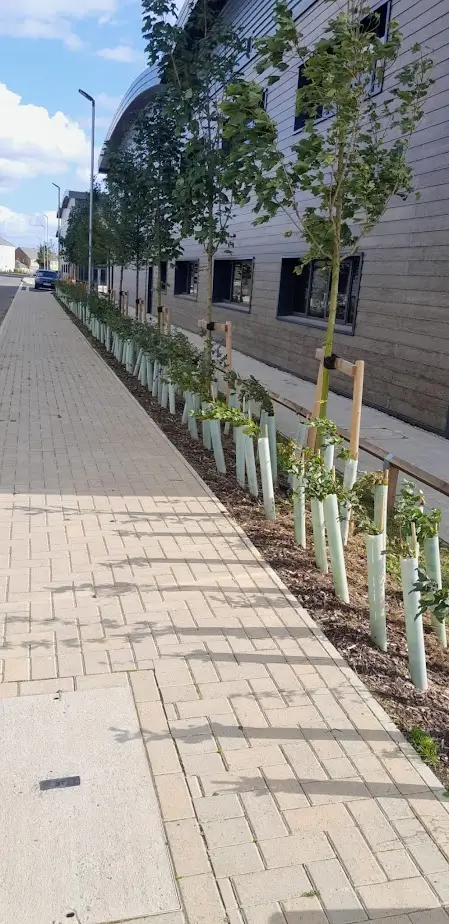 LFG-Landscaping-Commercial-Landscaping-008