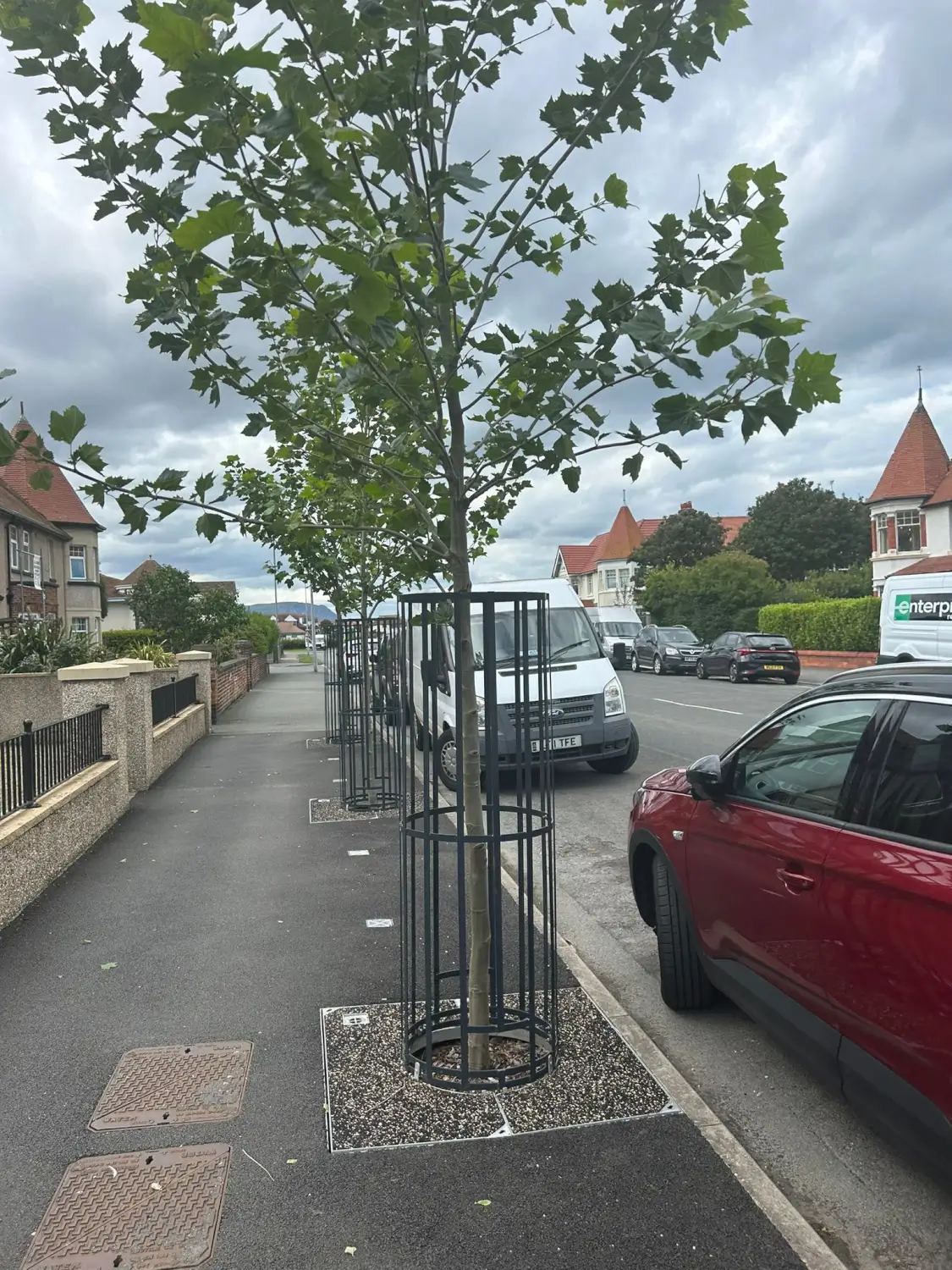 LFG-Landscaping-Street-Tree-Planting-004